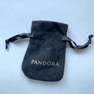 Pandora jewelry bag